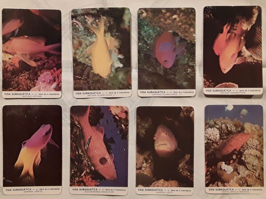 Calendários de bolso 1987 - Tema: Vida Subaquática