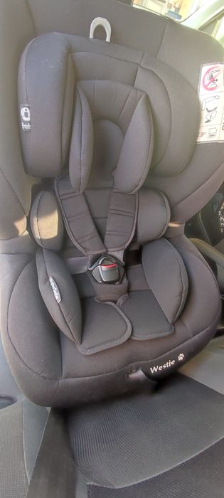 Fotelik Baby Safe Westie