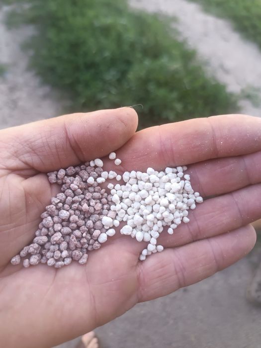 Нитроаммофоска, селитра, карбамид доставка безкоштовно