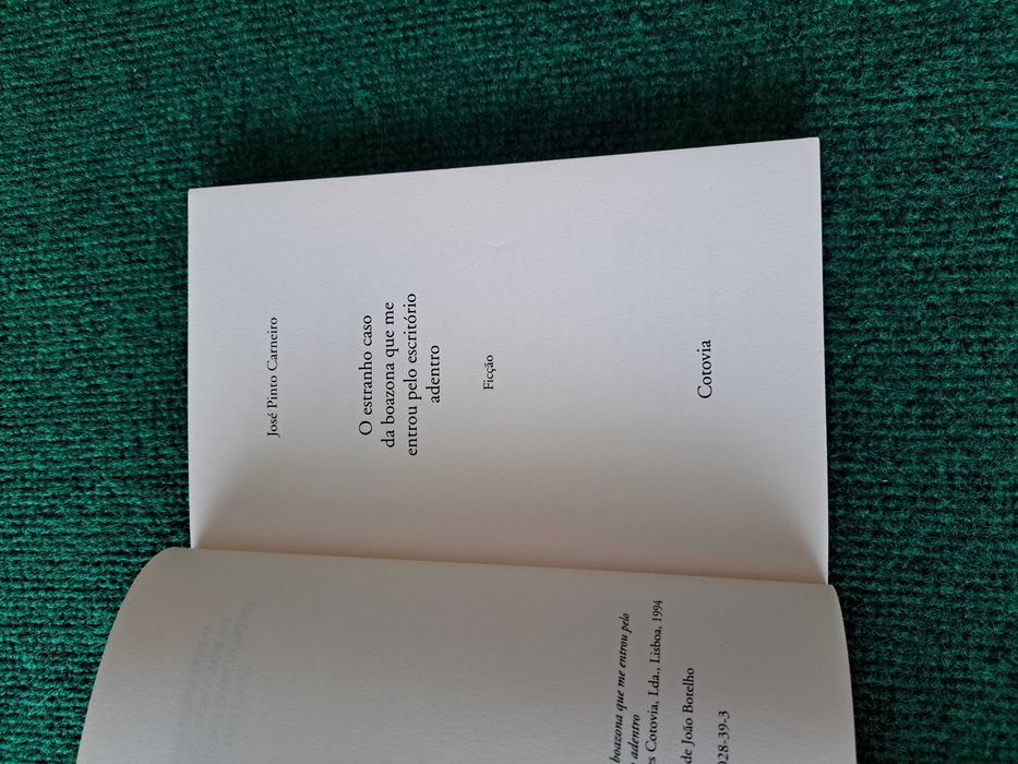 O estranho caso da boazona que me entrou pelo escritório adentro
