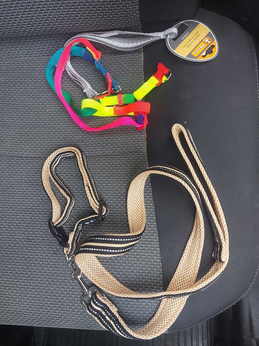 Acessórios para cães