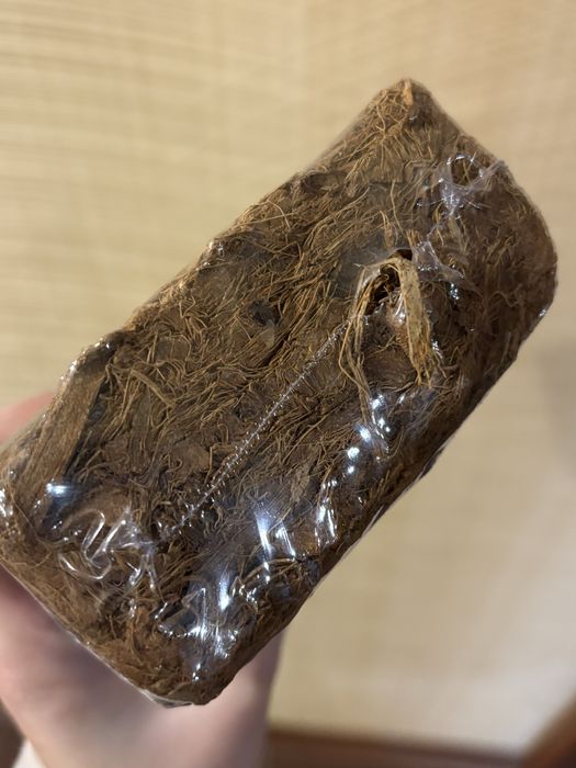 Переноска для риптилии/ мелкого грызуна