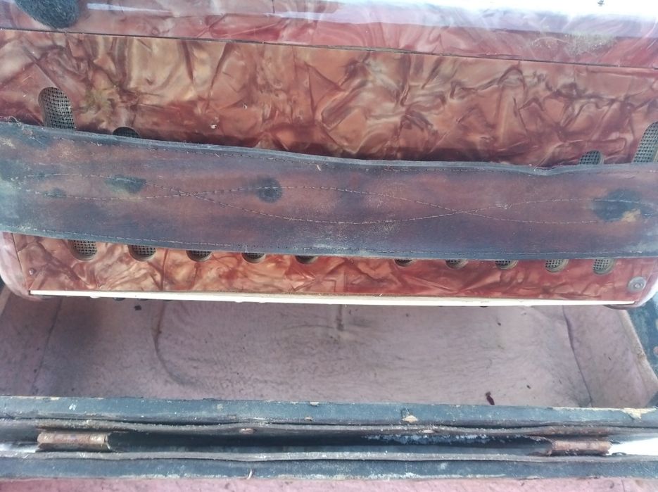 Аккордеон Украина.