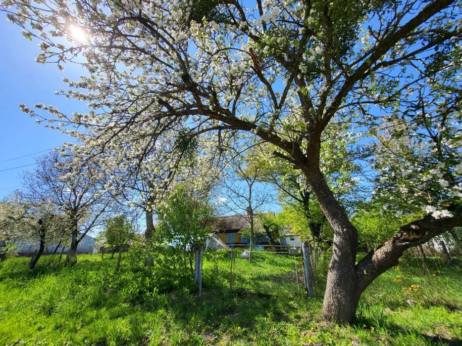 Продам будинок в селі Другий Гориньград