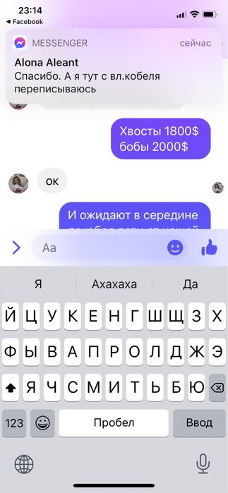 Шикарная черная девочка_Lamba