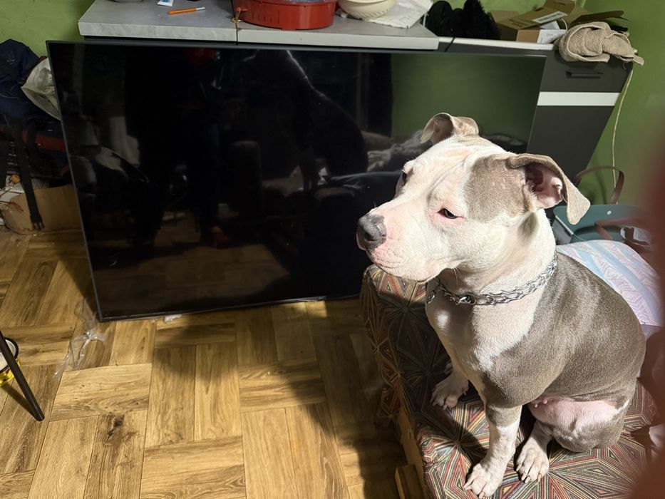 Nowy Telewizor LG 65″ 65UR781C,pęknięta matryca.