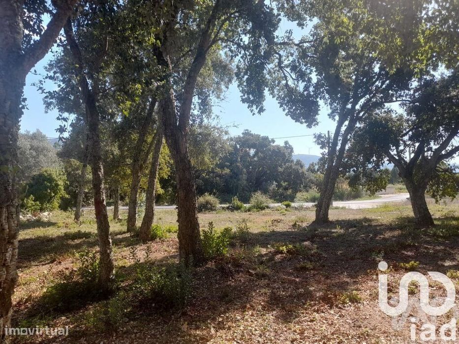 Terreno Agrícola em Aljubarrota