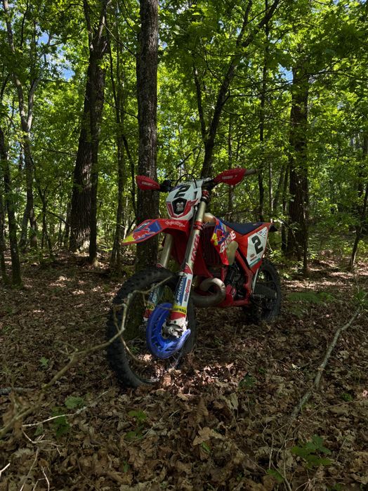 Mota GasGas ec300 gp