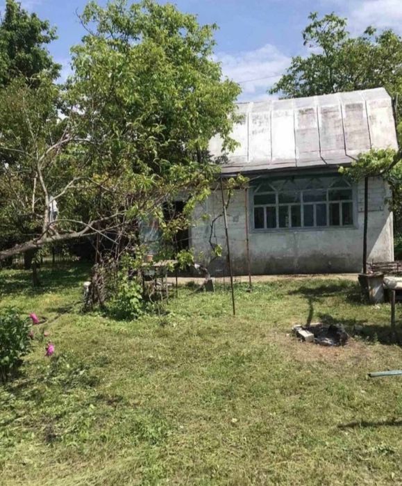Продам дачу бiля води за Власiвкою,за "Королiвським смаком",дорога Кременчук -Свiтловодськ