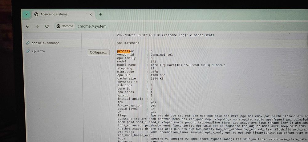 Dell Latitude 5400 Chromebook with 8 GB of memory.64729625455235124
