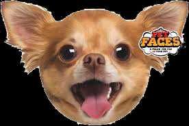 Almofada com face 3 D de raças de cães e gatos, AGORA 10€