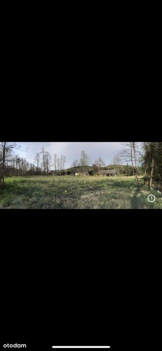 Działka z potencjałem! 42,7 ara pod lasem! Ok 35 km od Krakowa!