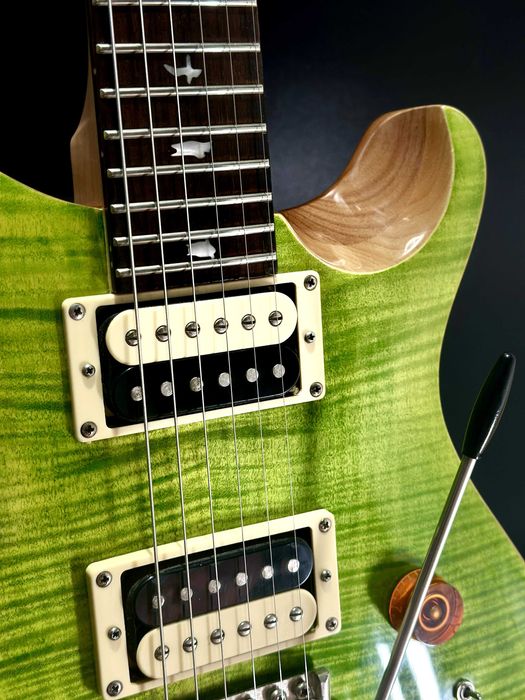 PRS SE Custom 24-08 | Eriza Verde, 8 brzmień, coil-split