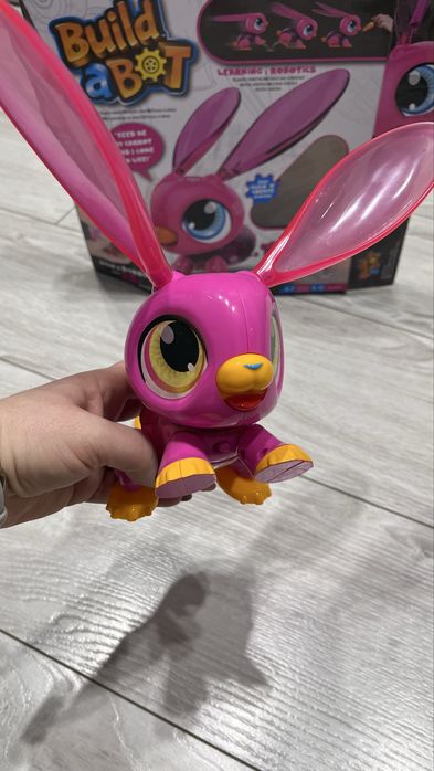 Build a Bot Królik