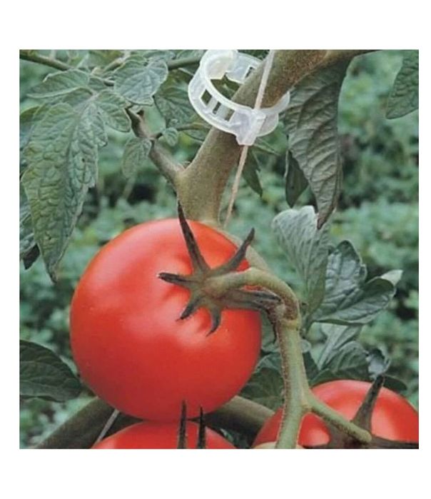 Zaciski do roślin pomidorów/ winogron