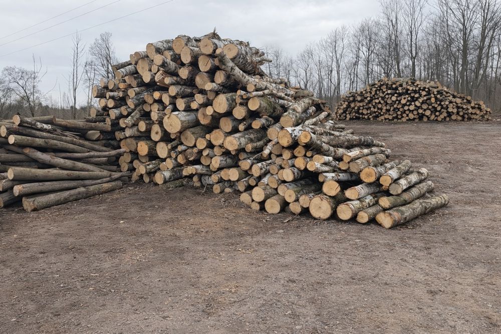 Drewno Kominkowe lub opałowe SUCHE, dąb, owocowe do wędzenia -  dowóz