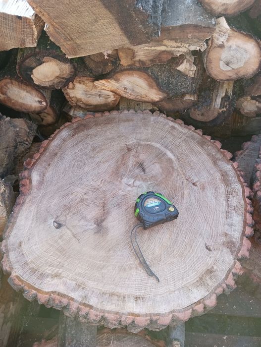 Plastry drewna plaster drewna Krążek ozdoba Dąb Sosna Świerk Brzoza