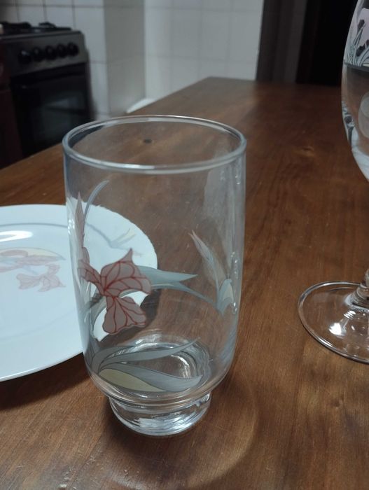 Serviço Arcopal porcelana e copos