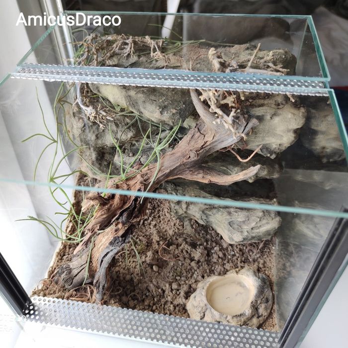 Terrarium dla ptasznika 30*30*30