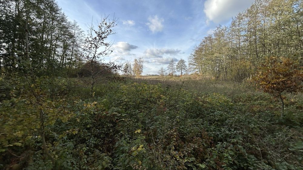 Działka budowlana na sprzedaż - 1,34 ha - Widok 4