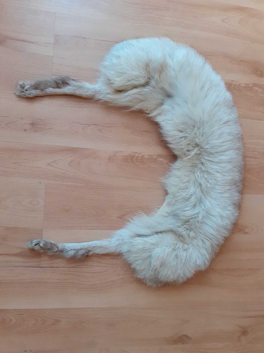 Szal/ kołnierz z natutalnego futra lisa