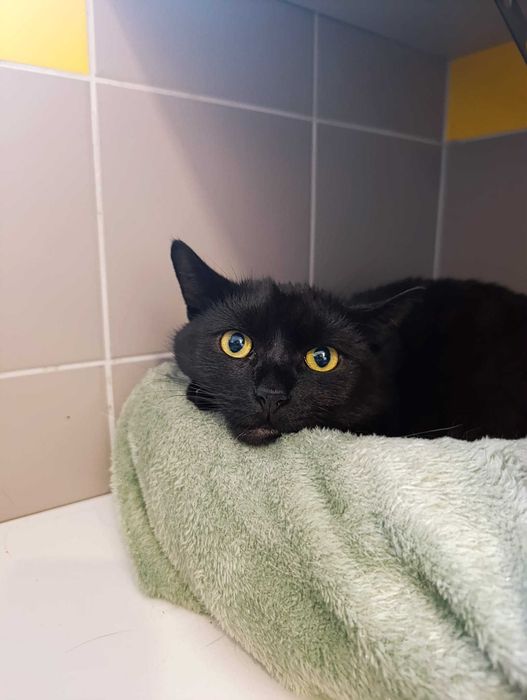 On nie prosi o miłość. On prosi, żeby go nie skrzywdzić. Daj szansę!