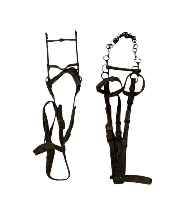 Antigas Cabeçadas para cavalo - decoração