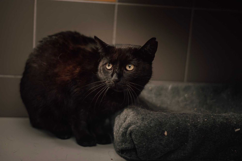 On nie prosi o miłość. On prosi, żeby go nie skrzywdzić. Daj szansę!