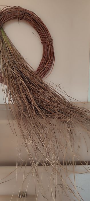 Листя осоки для флористики ,декору