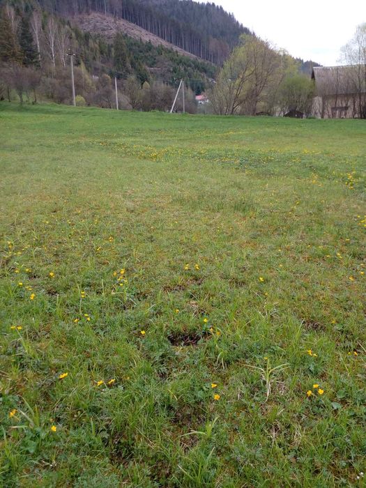 Земельна ділянка в центрі села