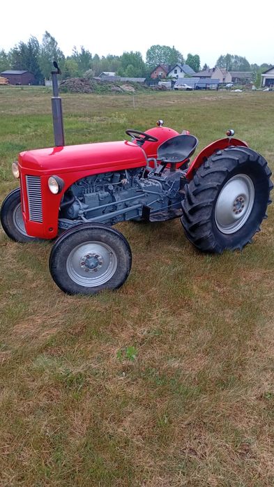 Massey Ferguson tea 30