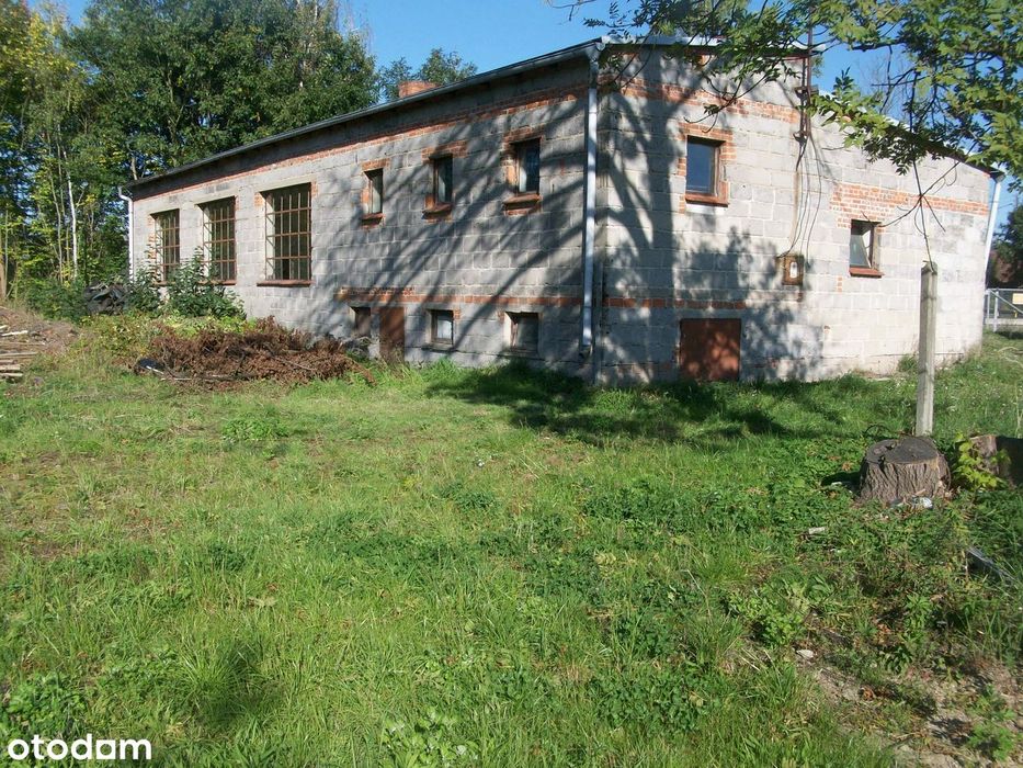 Działka Inwestycyjna 4620M2+Hala Warsztat 220M2 Przy Traśie Dk25 - Więcej