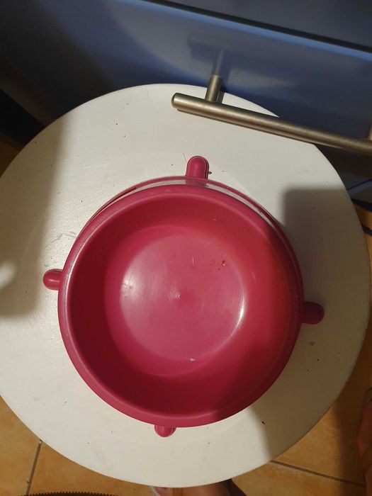 Miska dla psa plastikowa