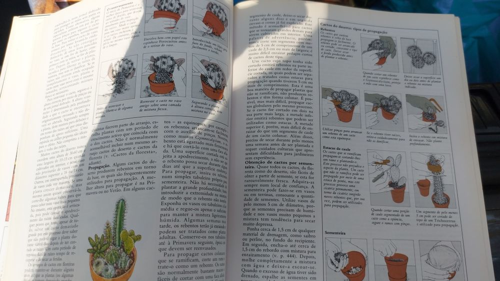 O Grande Livro das Plantas do Interior
