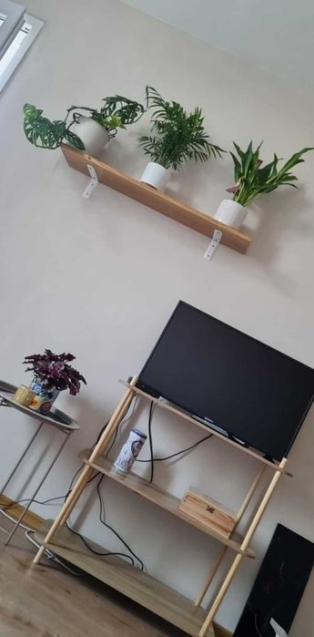 Zdjęcie 2