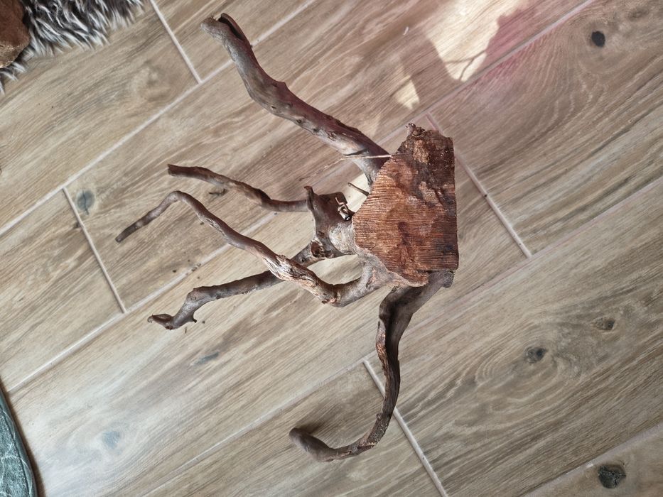 Korzeń japoński do akwarium