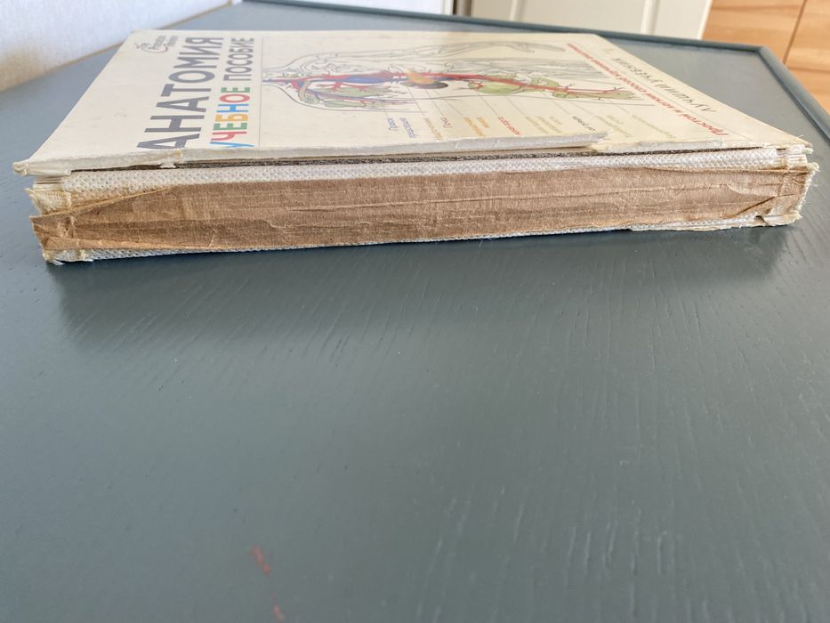 Эдуард Алкамо. АНАТОМИЯ. Лучший учебник