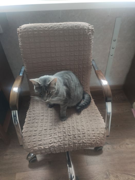 Крісло  комп'ютерне