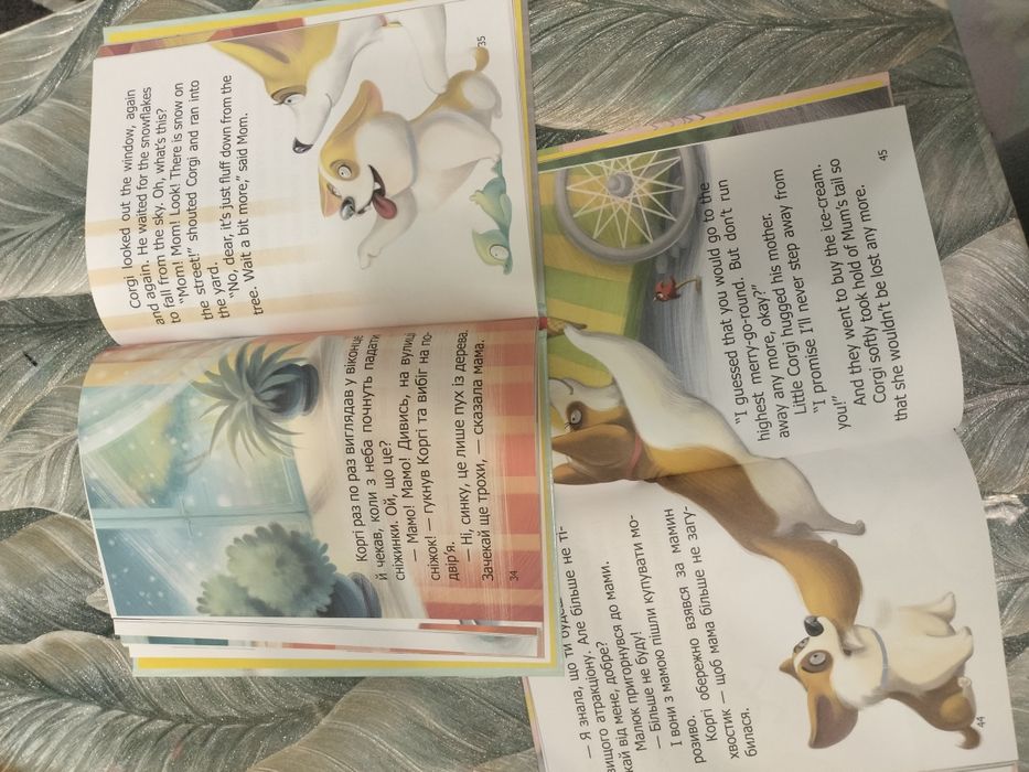 Книги англійською та українською мовою.