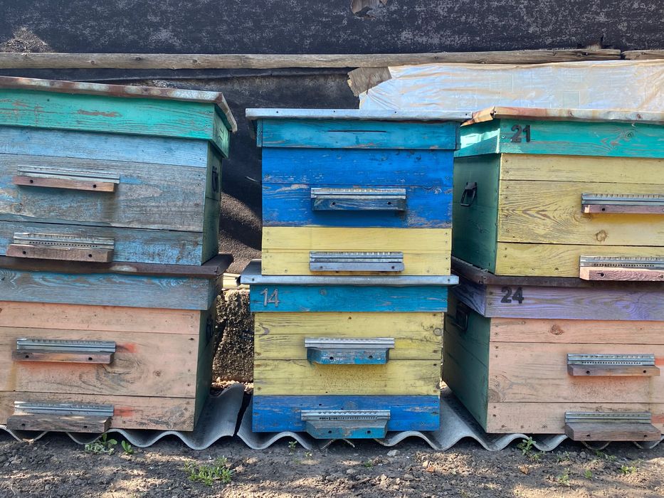 Вулики, медогонки