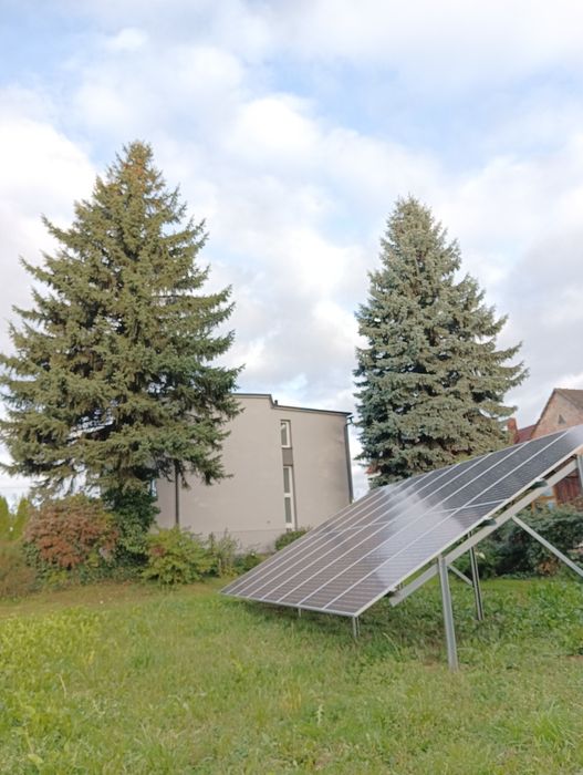 Wycinka drzew Karczowanie Zrębkowanie gałęzi Mulczer leśny Mulczowanie