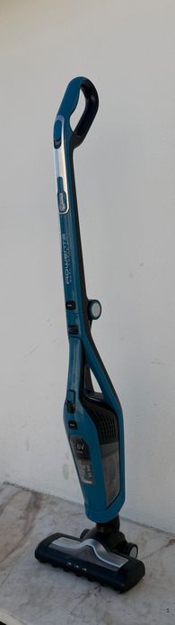 Aspirador vertical rowenta