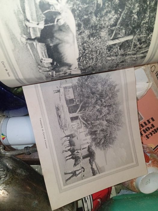 Imagens Funchal pequeno livro