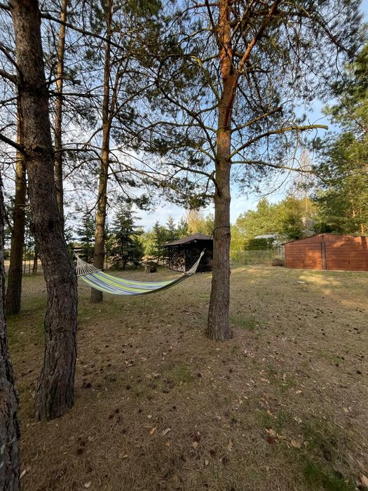 Domek w Borach Tucholskich Piła 8 osób całoroczny wynajem