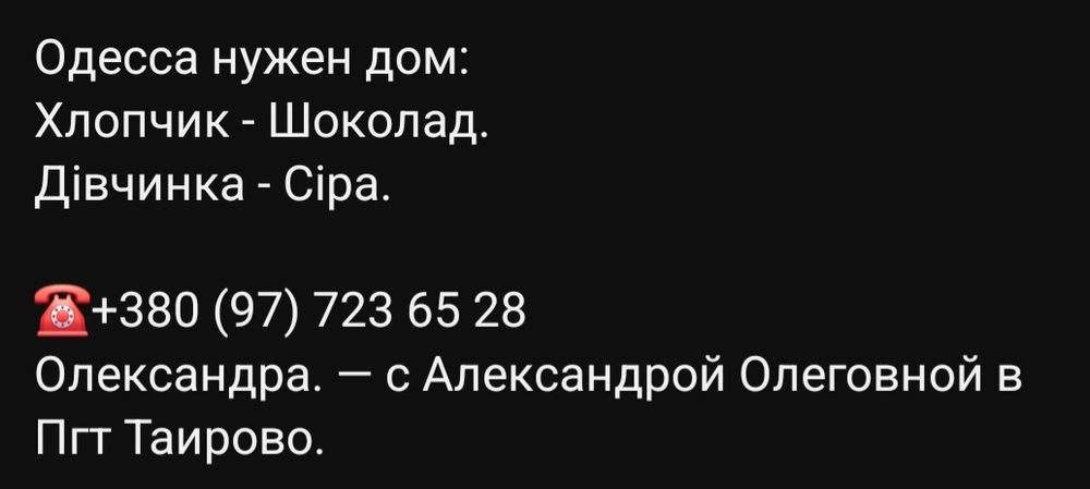 Отдам даром в добрые руки пушистых серого и черного котят