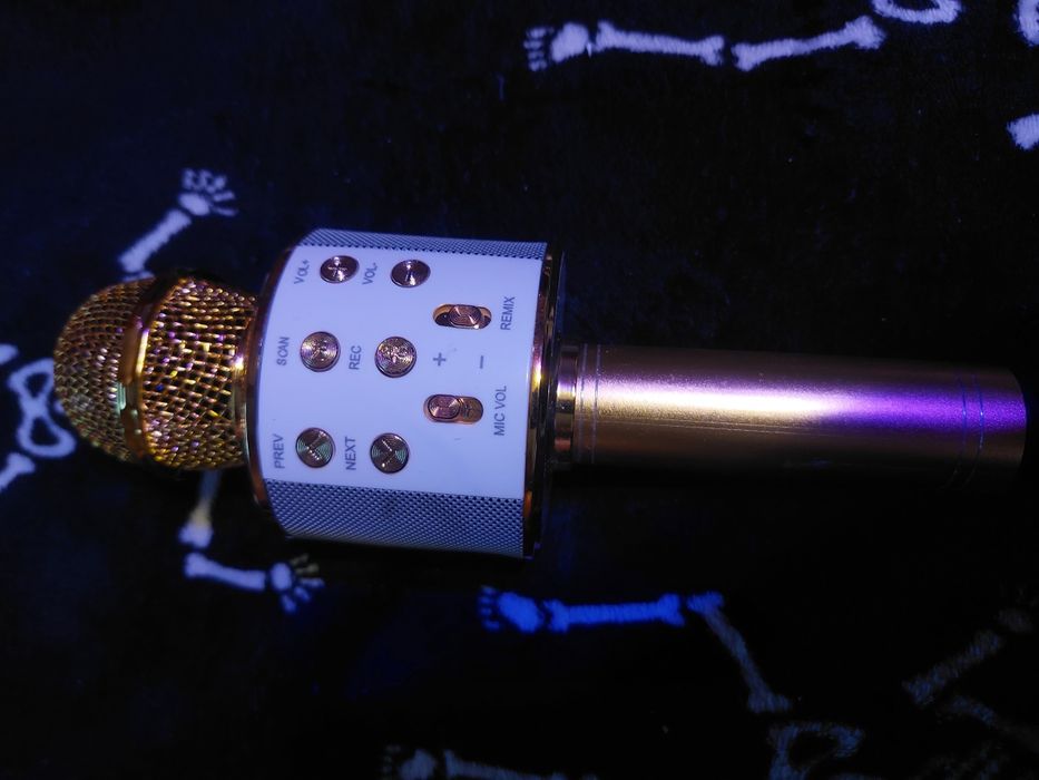 Mikrofon Bezprzewodowy Karaoke Bluetooth WS-858 Złoty Głośnik