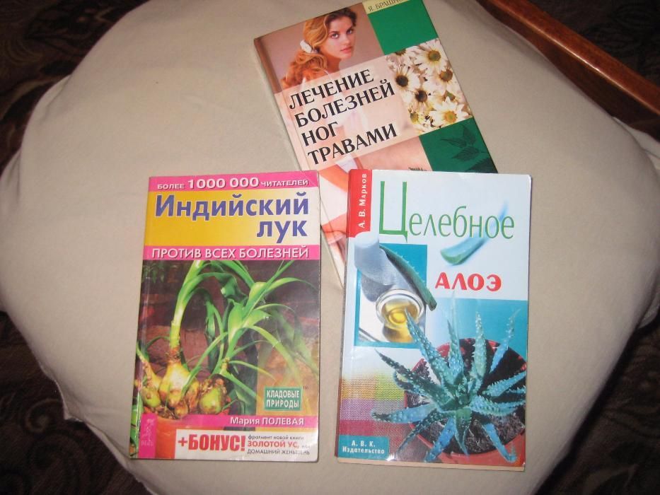 индийский лук целебный