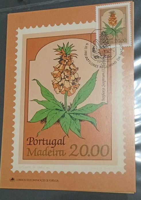 Postais Maximos - Portugal Flores da Madeira