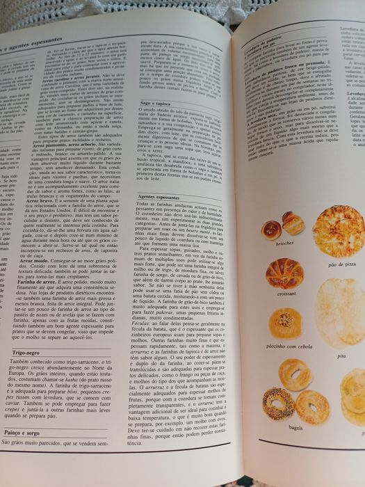 O grande livro ilustrado da culinária