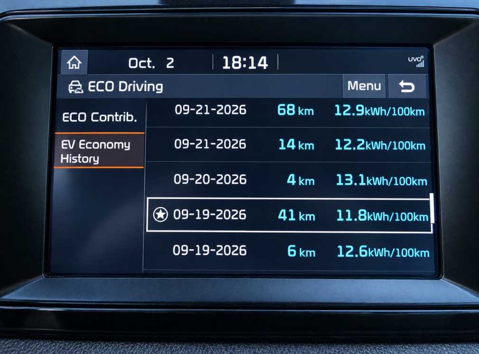 Kia Niro EV 2019, 64 кВт·год: батарея 100%, до 450 км, один власник в Україні